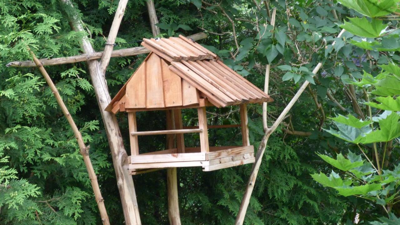 Willa Pod Sloncem Zakopane Exterior foto